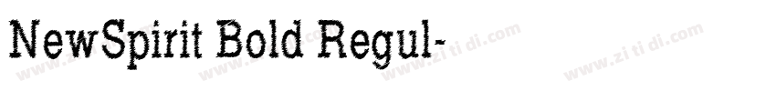 NewSpirit Bold Regul字体转换